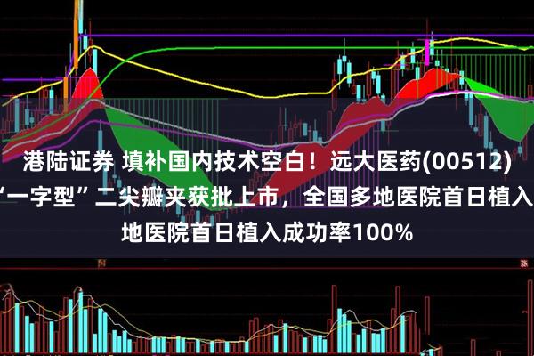 港陆证券 填补国内技术空白！远大医药(00512)NeoNova?“一字型”二尖瓣夹获批上市，全国多地医院首日植入成功率100%